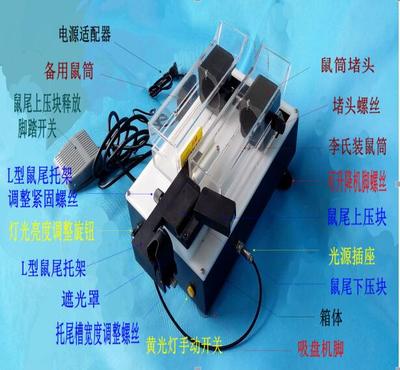 靜脈可視大鼠尾注固定器